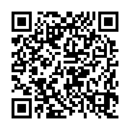 QR code for T40383