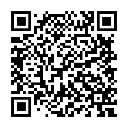 QR code for T40816