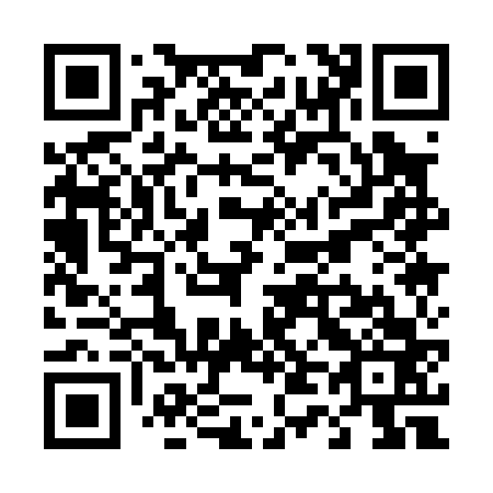 QR code for T41063