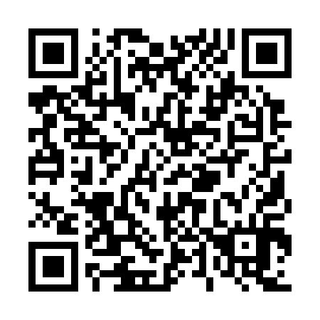 QR code for T41314