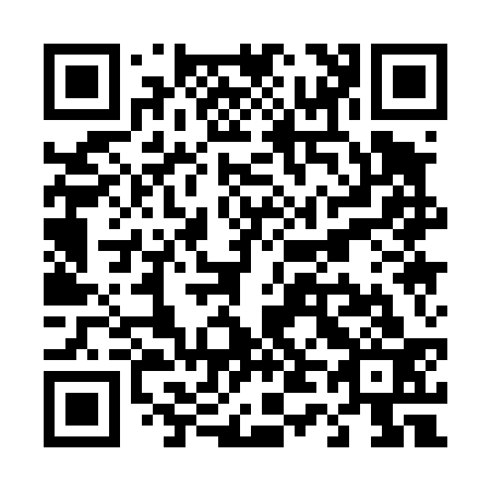 QR code for T41433