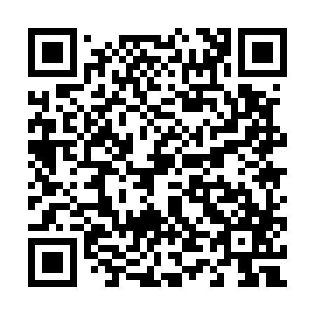 QR code for T41587