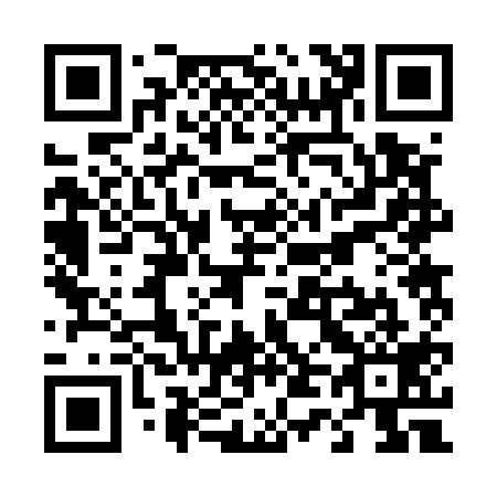 QR code for T42519