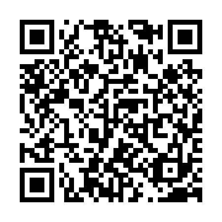 QR code for T43233