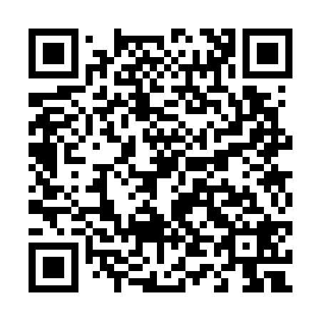 QR code for T43728