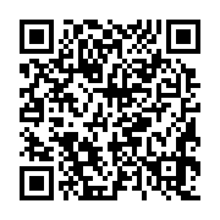 QR code for T45377