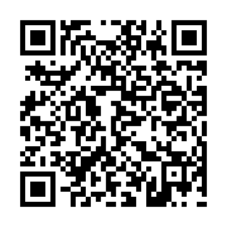 QR code for T45843