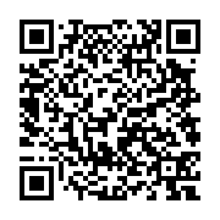 QR code for T46030