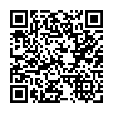 QR code for T46101