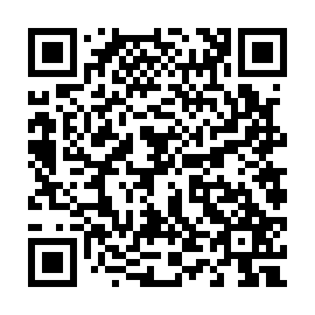 QR code for T46127