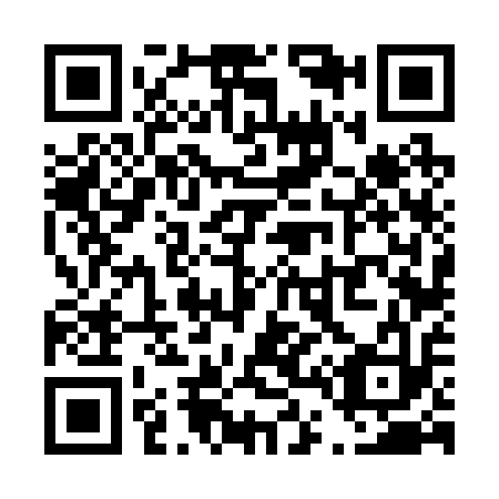 QR code for T46213