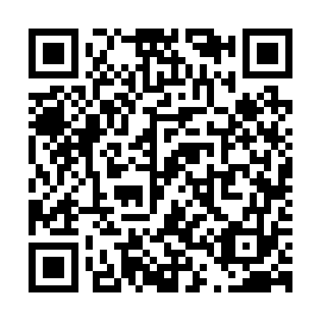 QR code for T46273