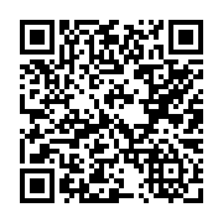 QR code for T46295