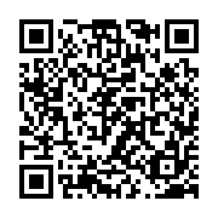 QR code for T46312