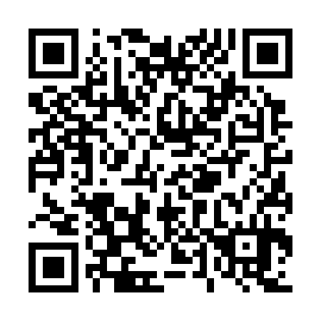 QR code for T46334