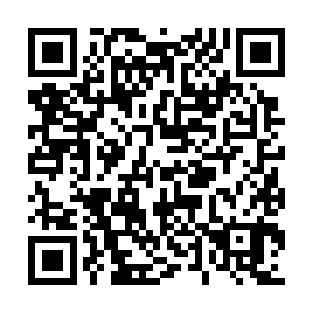 QR code for T46380