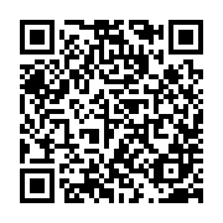 QR code for T46382