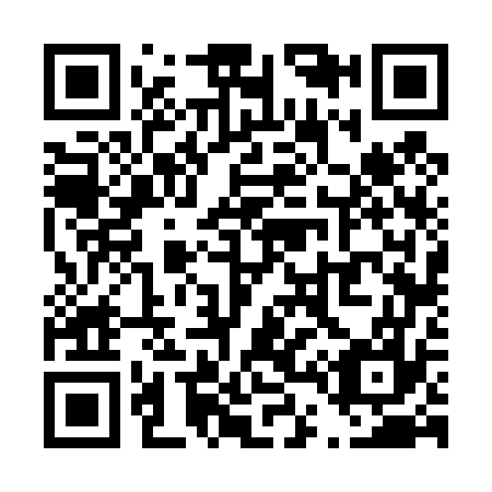 QR code for T46477