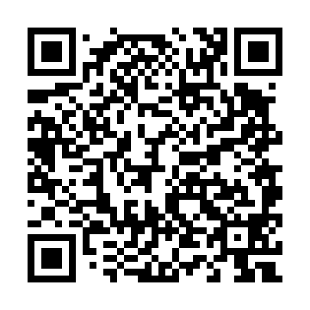 QR code for T46498