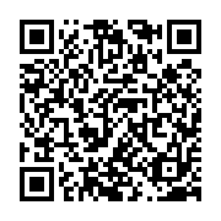QR code for T46513