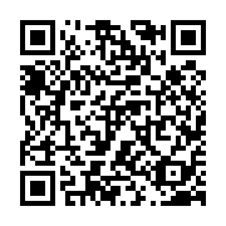 QR code for T46519