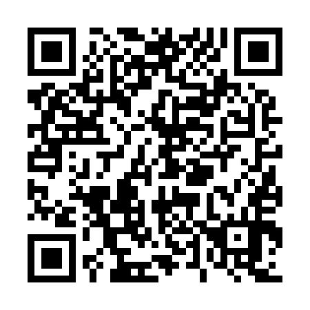 QR code for T46954