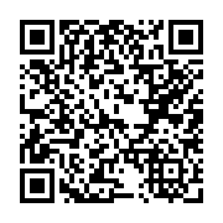 QR code for T47381