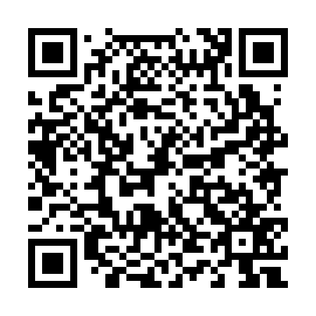 QR code for T48377