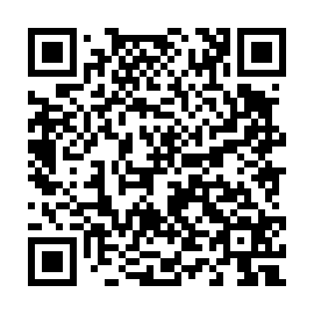 QR code for T48424