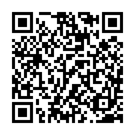 QR code for T48593