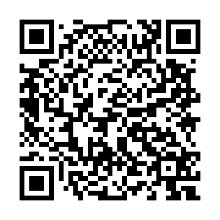 QR code for T49524