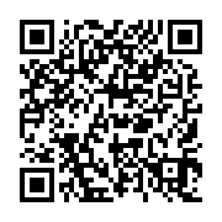 QR code for T49811