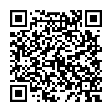 QR code for T50156