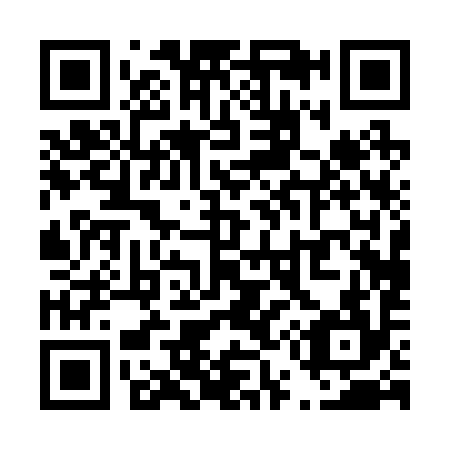 QR code for T50294