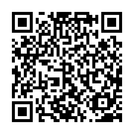 QR code for T50315