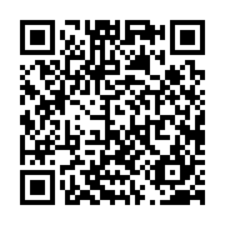 QR code for T50324