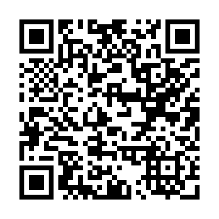 QR code for T50938