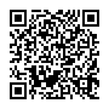 QR code for T51318