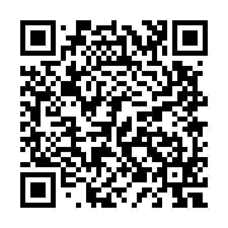 QR code for T51595