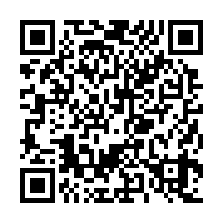 QR code for T52339