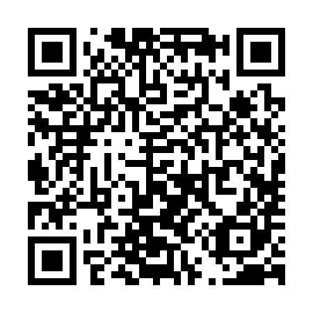 QR code for T52380