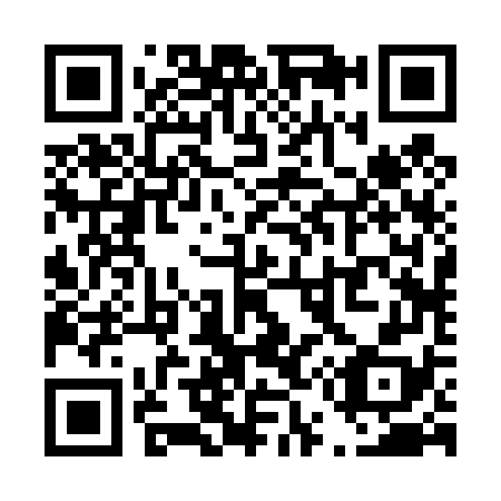 QR code for T52478