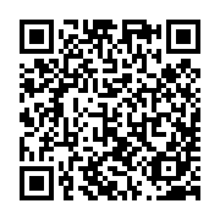 QR code for T52480