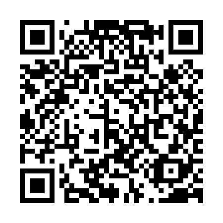 QR code for T53028