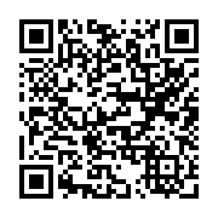 QR code for T53080