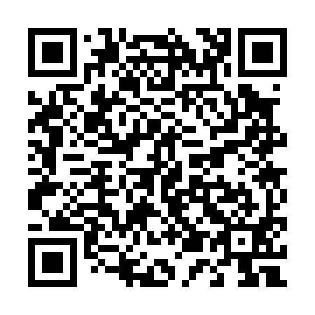 QR code for T53091