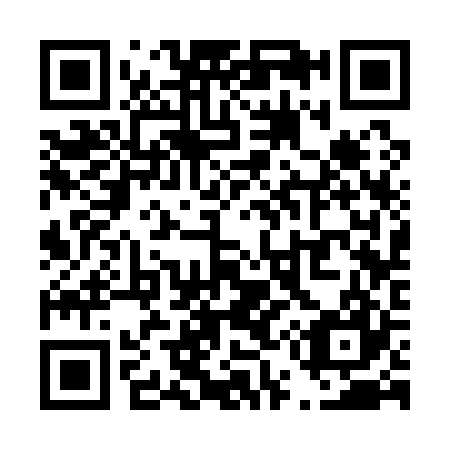 QR code for T53127
