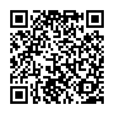 QR code for T53249