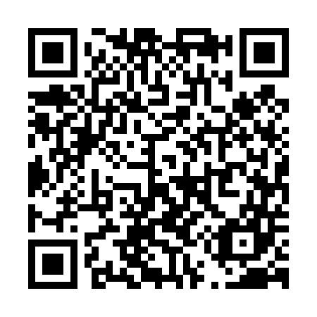 QR code for T55447