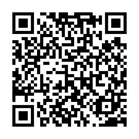 QR code for T55603